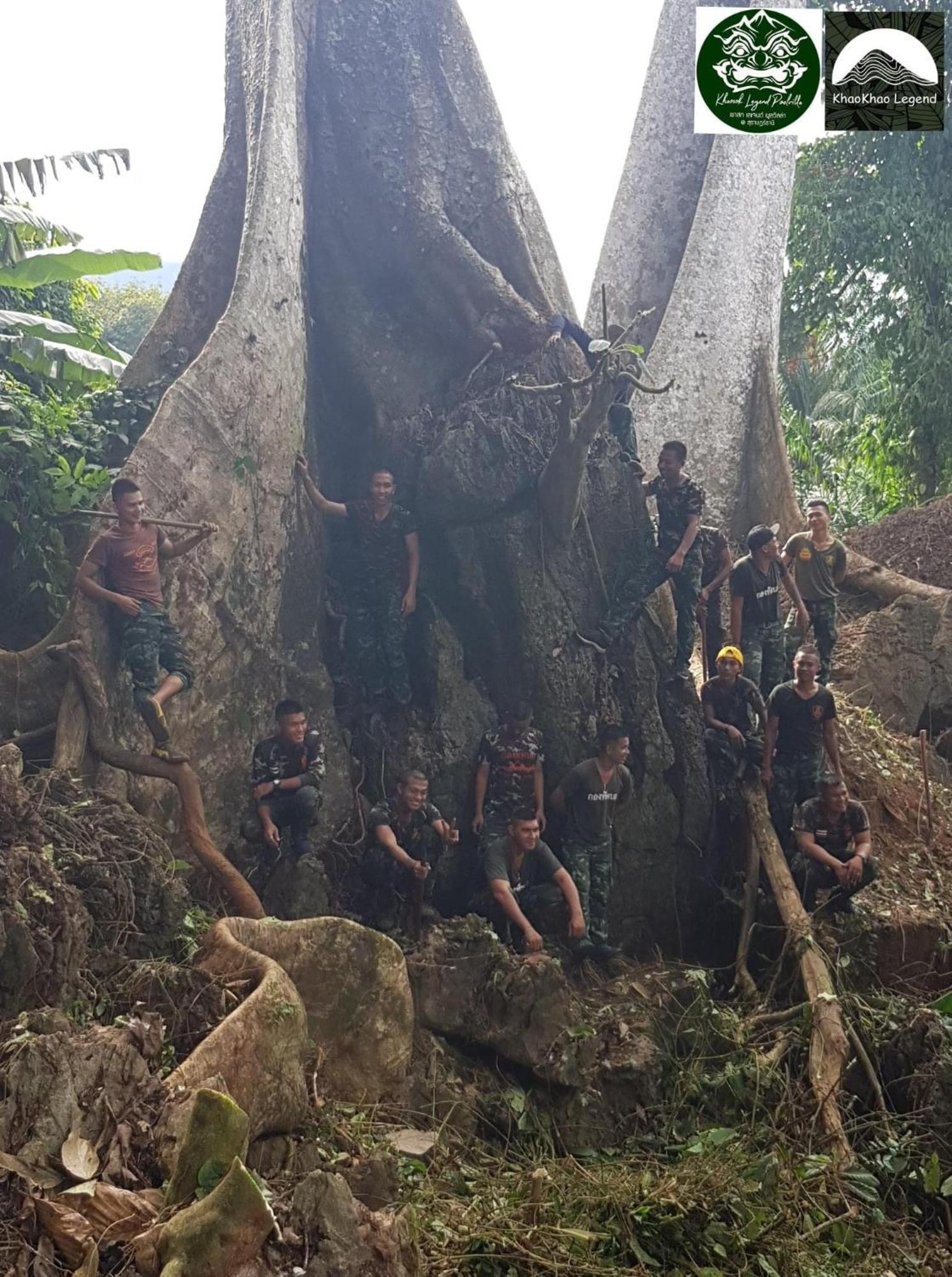 Khaosok Legend Villa Khao Sok National Park Dış mekan fotoğraf